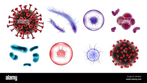 Set Of Microscopic 3d Bacteria And Viruses Microbiology Vector Bacterium And Bifidobacterium