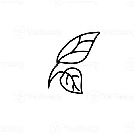 leaf icon on a transparent background 46568058 PNG