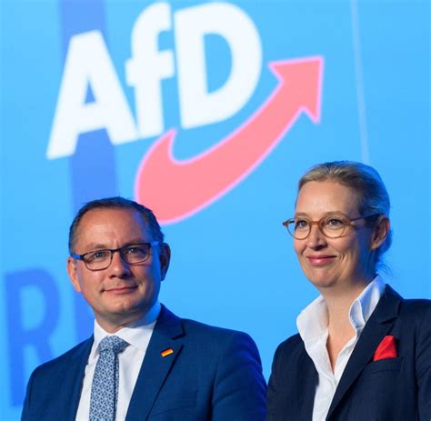 Afd Sieht Eu Als Gescheitertes Projekt Welt