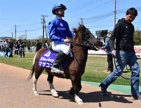 パカパカ工房 On Twitter 【ダーレージャパン杯・第2回門別ポニーレース（darley Japan Cup）】出走馬は全7頭。④