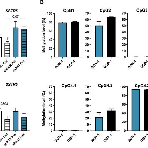 Interrelation Of SSTR5AS1 And SSTR5 Expression And Regulation By