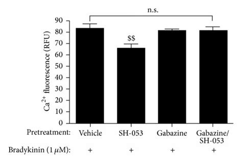 Sh 053 2′f R Ch3 2 Mediated Activation Of α5 Containing Gabaa