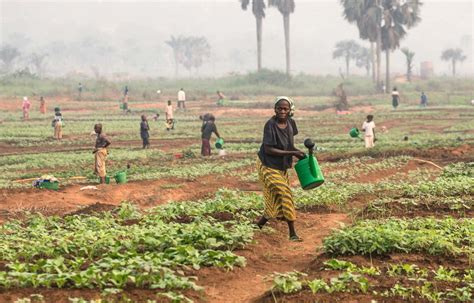 La Rd Congo Plus Grande B N Ficiaire Du Dernier Programme De Soutien