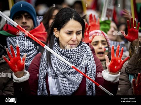 La Haya Los Simpatizantes Pro Palestinos Toman Medidas Durante La