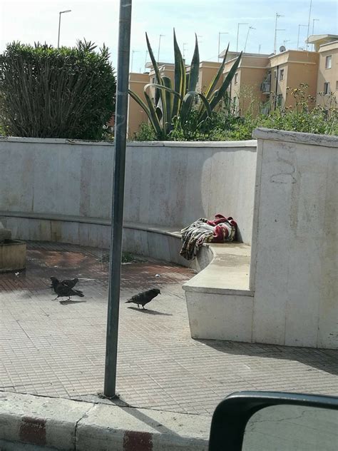 Quindici Molfetta La Fontana Della Madonna Dei Martiri A Molfetta