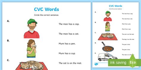 Cvc Words And Sentences Worksheets Printable Twinkl