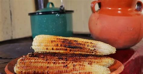 Té De Pelos De Elote Para Qué Sirve Y Cómo Prepararlo En Casa Gastrolab