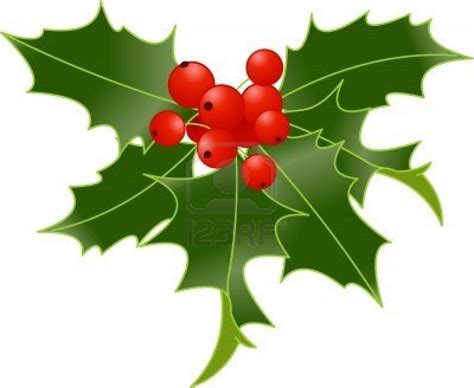 Holly Leaf And Berries - ClipArt Best