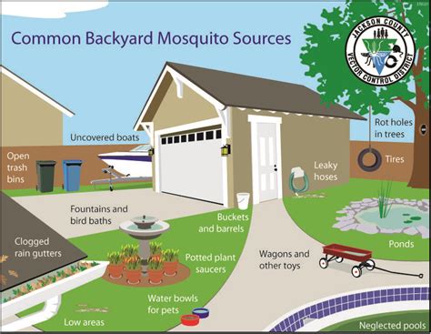 Mosquito Proofing Your Backyard Jackson County Master Gardener