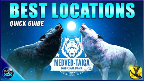 The Best HOTSPOTS To Hunt Gray Wolf On Medved Taiga TheHunter Call