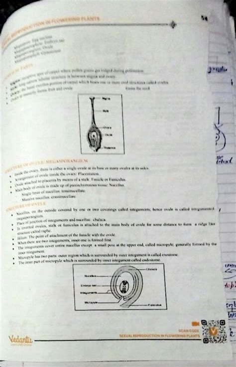 Solution Sexual Reproduction In Flowering Plants Part2 Studypool