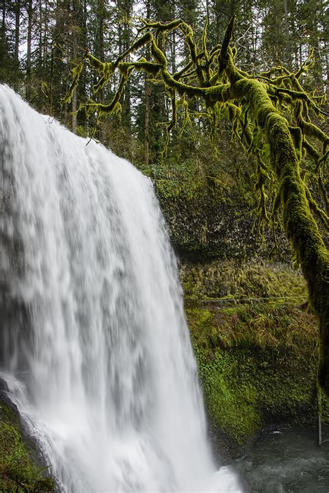 Lower South Falls in Silver Falls State Park « TravelJapanBlog.com