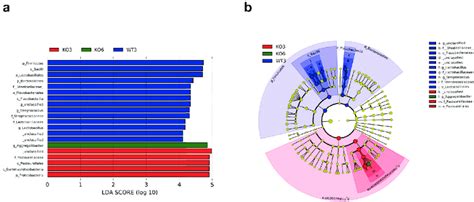 The Linear Discriminant Analysis Effect Size Lefse Of 3 And