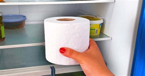 Pourquoi Vous Devez Mettre Du Papier Wc Au Frigo Artofit