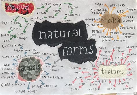 Yr Natural Forms Visual Mind Map Natural Form Art Natural