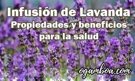 Infusi N De Lavanda Beneficios Para La Salud Como Preparalo