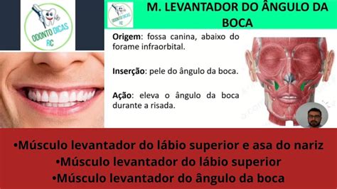 M Levant Do L Bio Superior E Asa Do Nariz Levant Do L Bio Superior