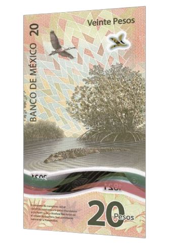 Lanzan Nuevo Billete Conmemorativo Por A Os De Independencia De