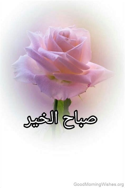 Good Morning Arabic Images Wishes Greetings Good Morning Images