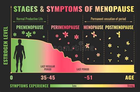 Étapes De Ménopause Infographic Illustration de Vecteur Illustration