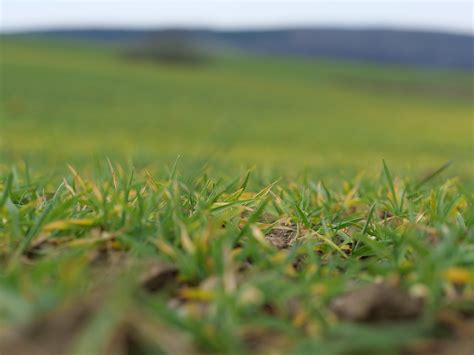 Field Fields Agriculture Free Photo On Pixabay Pixabay