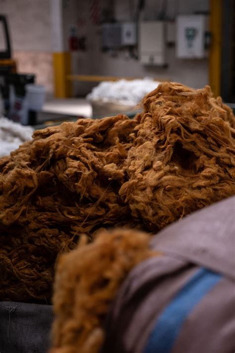 Giving Wool Waste A New Life Archify Australia