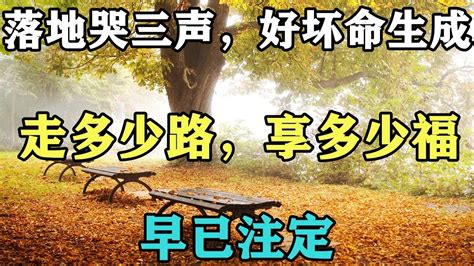 禪意人生：「落地哭三聲，好壞命生成」：走多少路，享多少福，早已註定 Youtube