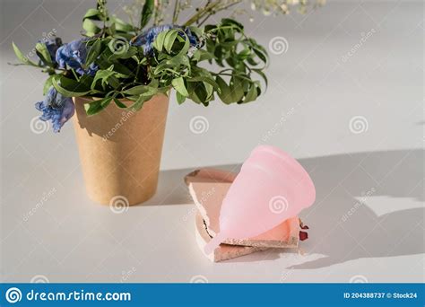 Copo Menstrual Cor De Rosa Flores Sobre Fundo Branco Luz Solar