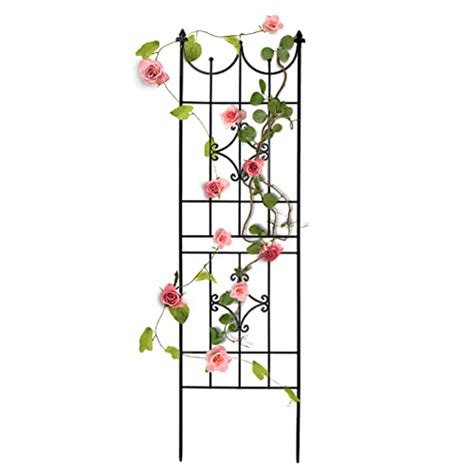 SCENDOR Garden Trellis 70 X 20 For Climbing Plants 6FT Metal Iron