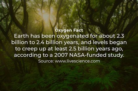 How Does Deforestation Affect The Oxygen Cycle Earth Reminder