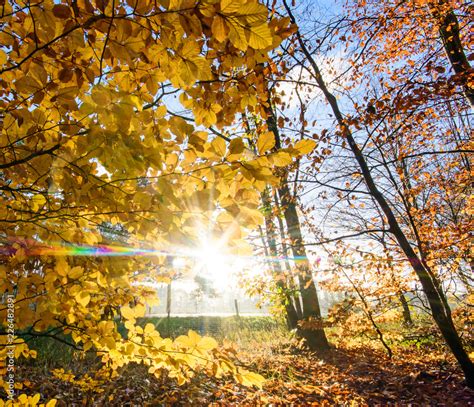 Schönheit des Herbstes Spätsommer Indian Summer wundervolle Farben