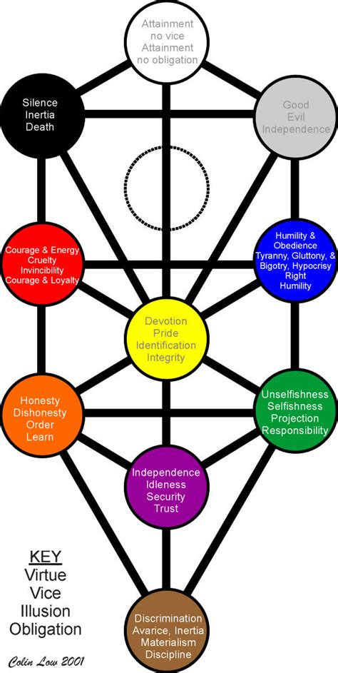 Diagram Drawing Tree Of Life Diagram Mydiagramonline