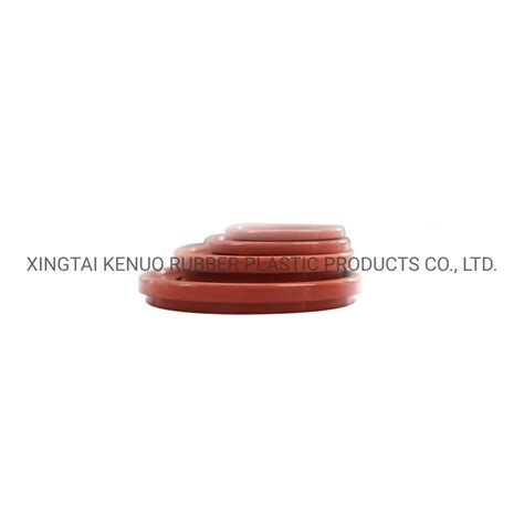 Cassette Oil Seal For Truck Wheel Hub Rwdr Kassette Rubber NBR Oil Seal