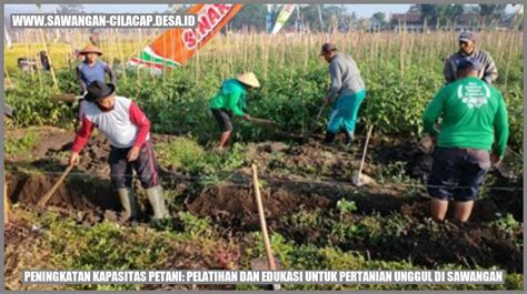 Peningkatan Kapasitas Petani Pelatihan Dan Edukasi Untuk Pertanian