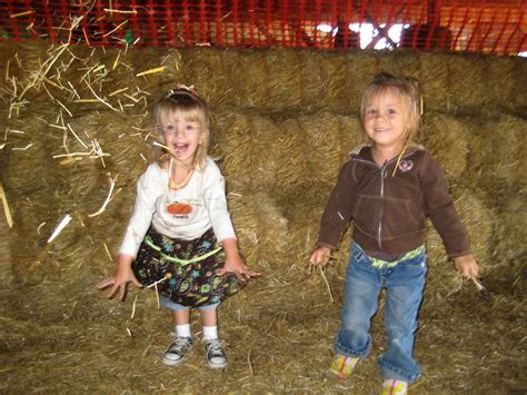 Circle S Farms Ohio: Your Family's New Favorite Farm Escape