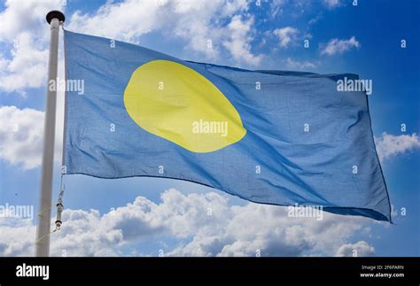 Palau Flag Republic Of Palau National Symbol On A Flagpole Waving