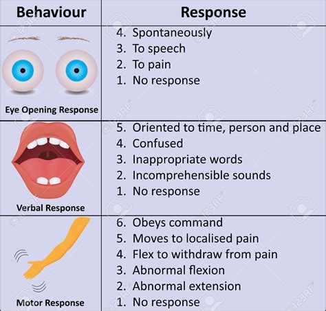 Glasgow Coma Scale Diagram Quizlet