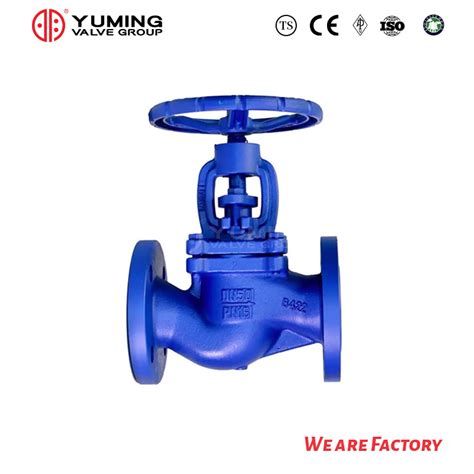 Factory Shipped Cast Iron Steel Bellows Sealed Globe Valve Bellows