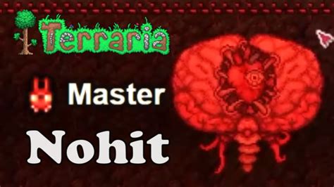 Cerebro De Cthulhu Terraria Modo Maestro Nohit Youtube