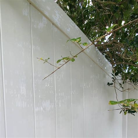 Sarasota Pressure Washing Exterior Cleaning Lakewood Ranch