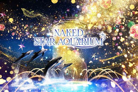 イルミネーションスポット好評開催中 NAKED INC 株式会社ネイキッド