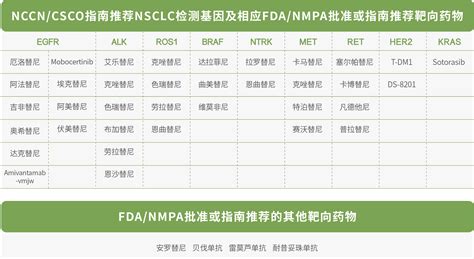 肺癌个体化治疗基因检测 65基因 北京基石生命科技有限公司