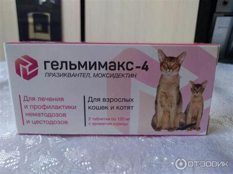 Гельмимакс для кошек: инструкция по применению, отзывы, аналоги