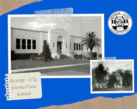 Uncover Your Ancestral History with Volusia County Mugshot Archives 2