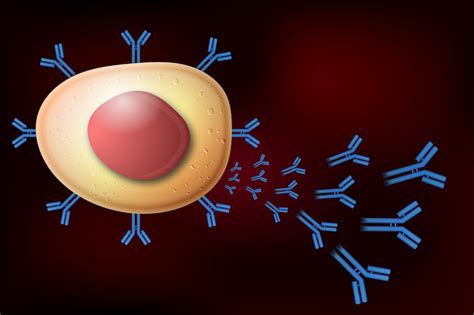 Making A Better Hiv Vaccine By Tricking The Immune System Boston