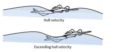 How To Ride Waves In Swimming For Higher Velocity Swimming Science