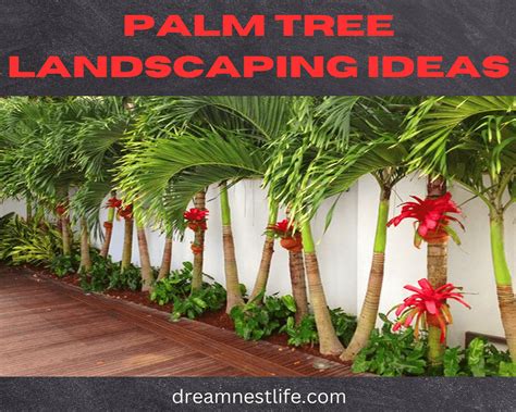 Palm Tree Landscaping Ideas | Dreamnestlife com