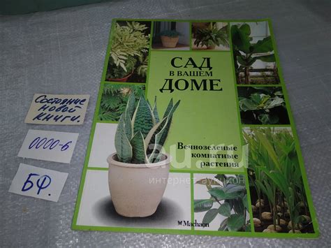 Сад в вашем доме. Вечнозеленые комнатные растения, Эта книга является ...