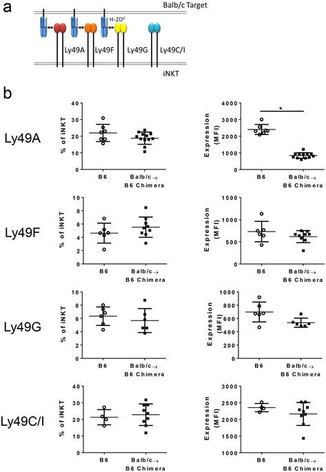 Reduced expression of allospecific Ly49 receptors on iNKT cells in PB ... 