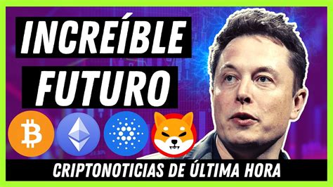 🚨 Noticias Criptomonedas Hoy 👉 ¿cardano A 3 Bitcoin Ethereum